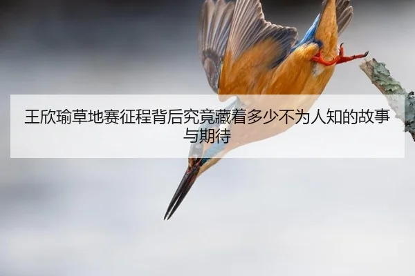 wang-xin-yu-cao-di-sai-zheng-cheng-bei-hou-jiu-jing-cang-zhe-duo-shao-bu-wei-ren-zhi-de-gu-shi-yu-qi-dai-2-580.jpg